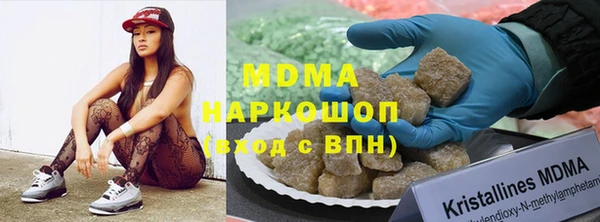 индика Богданович